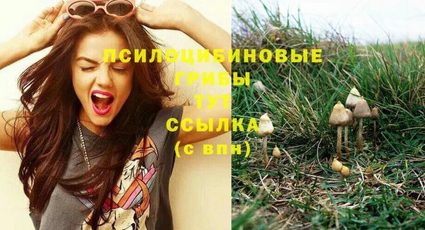 apvp Балабаново