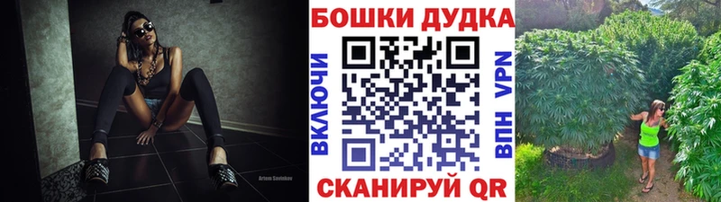 Конопля планчик  Энем 